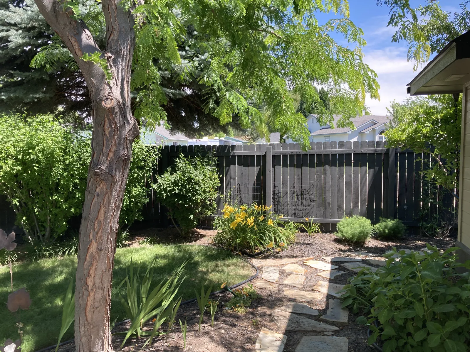Dark-stained privacy fence around a landscaped backyard in Star, Idaho