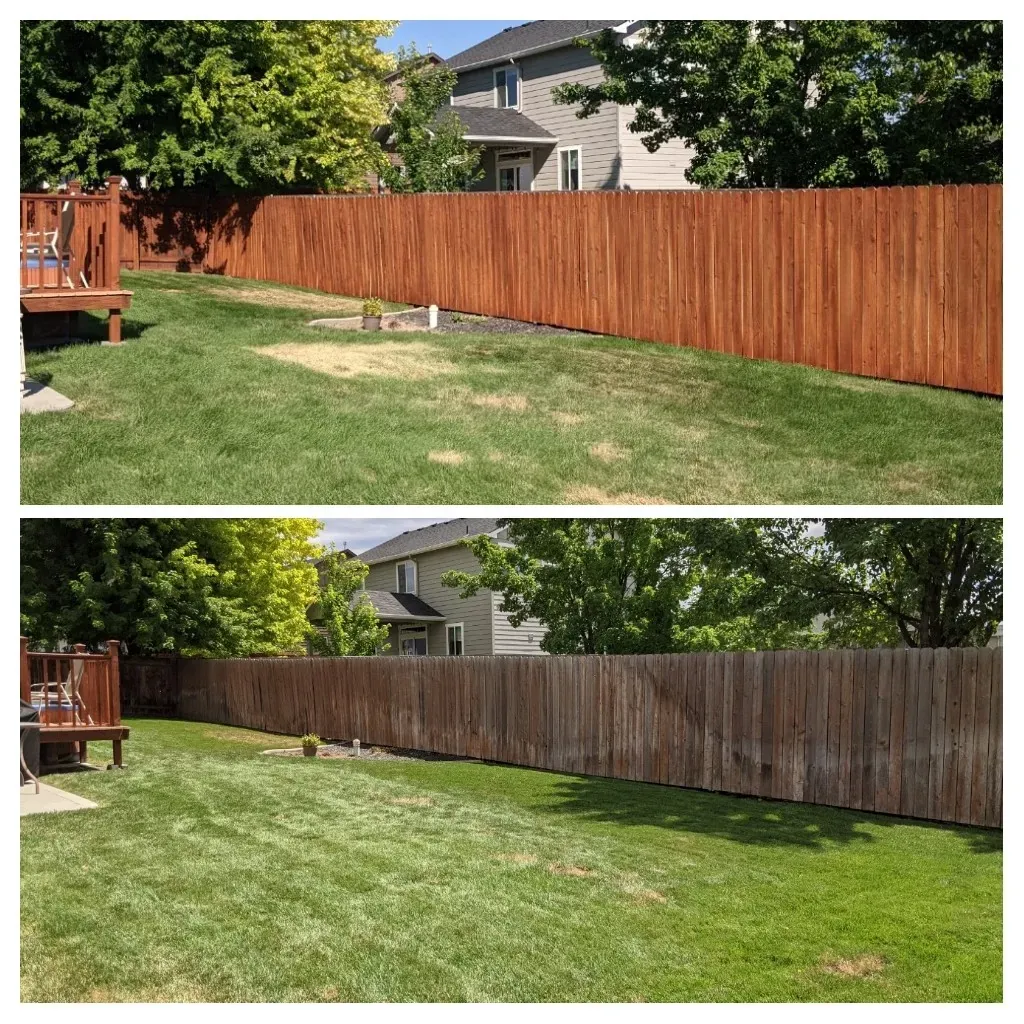 Before and after staining a cedar backyard fence in the Treasure Valley