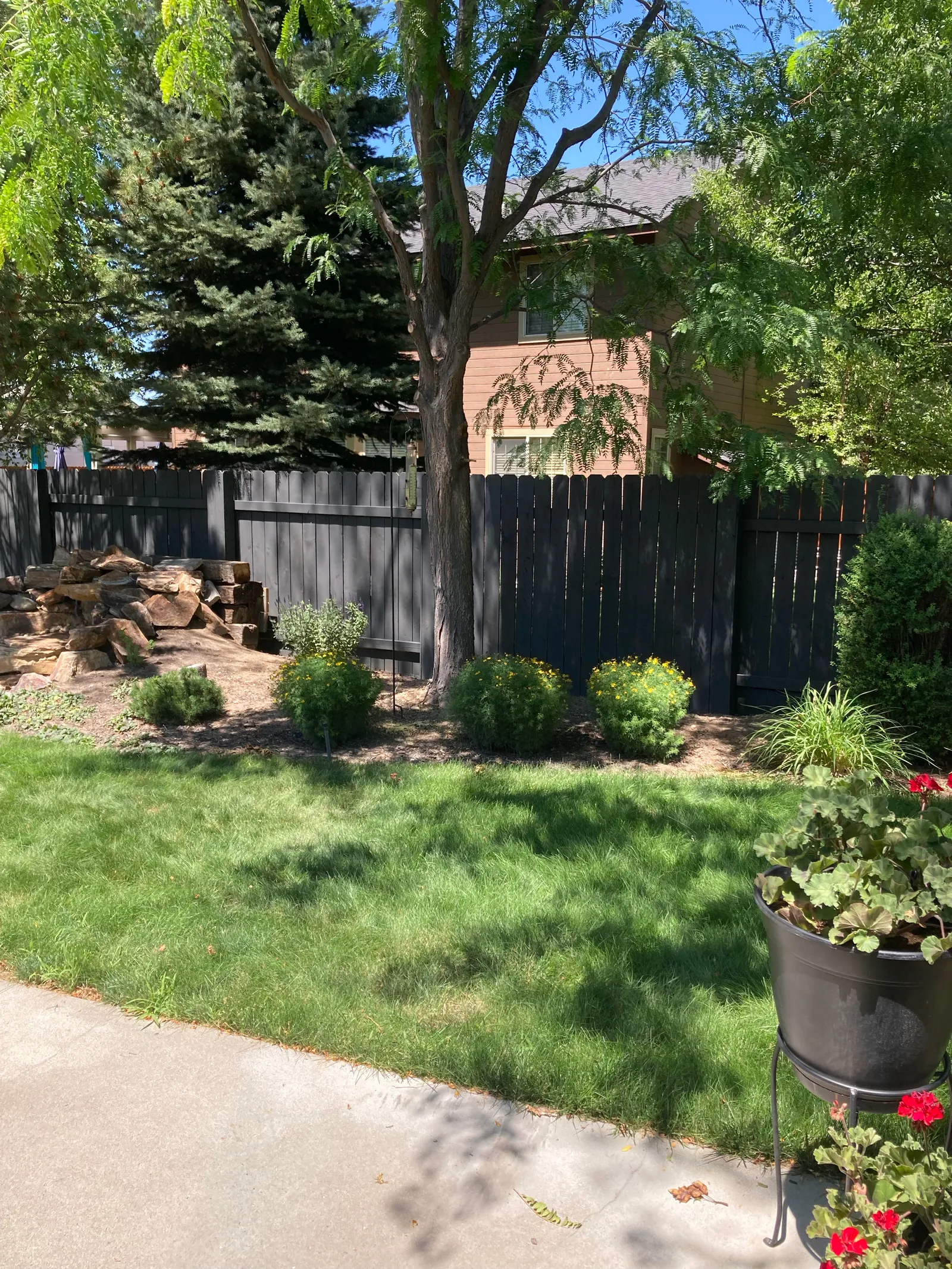 Freshly stained dark wood privacy fence behind a green lawn and flower beds, Treasure Valley